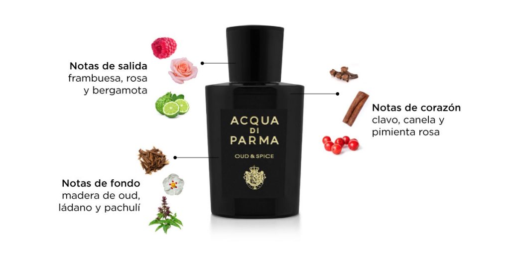 Notas olfativas Oud & Spice acqua di parma