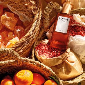 Botanical Rainbow Loewe